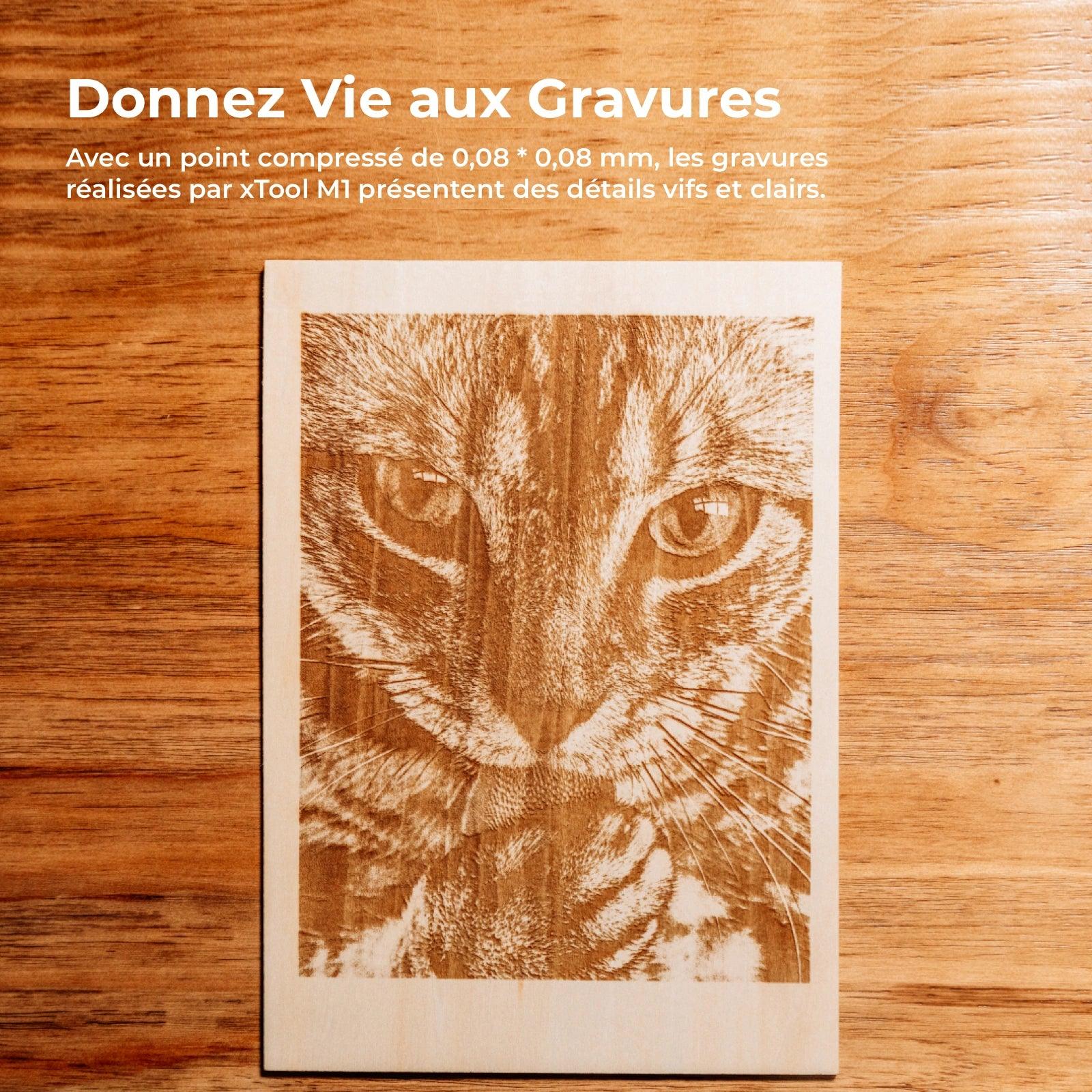 [Reconditionné] xTool M1 - Graveur Laser et Découpeur de Vinyle Intelligent - Image 7